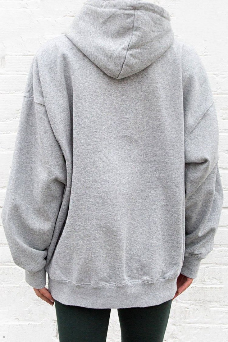 Sweat a Capuche Brandy Melville Christy Newport Grise | VPM-57947417